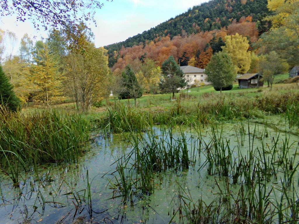 Hotel-Spa&Restaurant Logis Domaine Langmatt Murbach Esterno foto