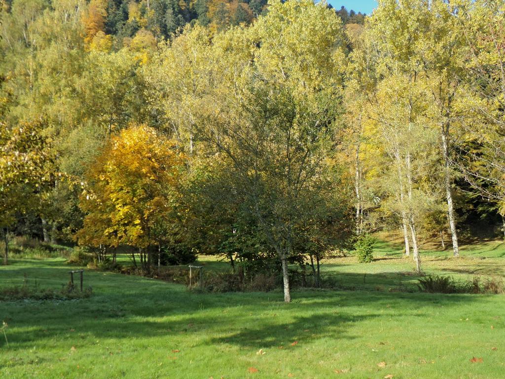 Hotel-Spa&Restaurant Logis Domaine Langmatt Murbach Esterno foto