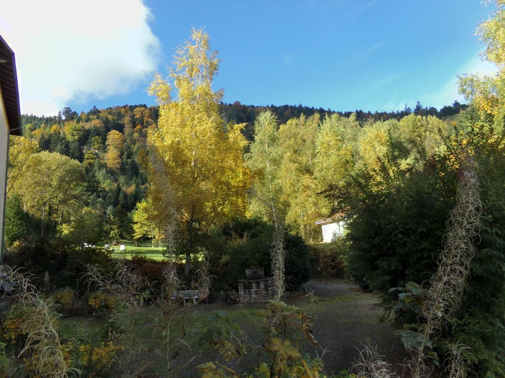 Hotel-Spa&Restaurant Logis Domaine Langmatt Murbach Esterno foto
