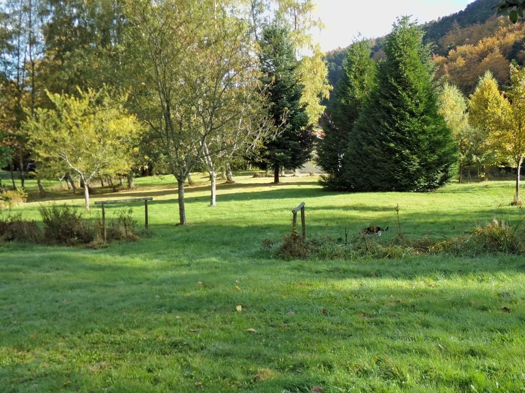 Hotel-Spa&Restaurant Logis Domaine Langmatt Murbach Esterno foto